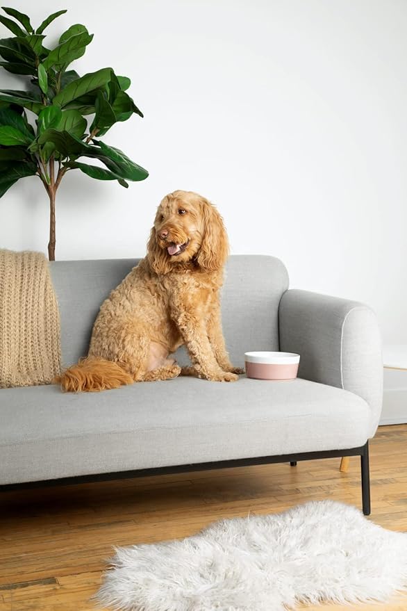 Waggo Dipper Ceramic Dog Bowl for Small and Large Breeds - Heavyweight and Durable Pet Food and Water Dish Crock, Dishwasher Safe, Modern (Teracotta, Medium)