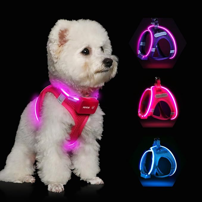 Light Up Dog Harness,Rechargeable LED Dog Harness for Small Medium Large Dogs,Reflective Lighted Safety Vest for Night Walking & Camping,Lightweight & Adjustable,Pink,S