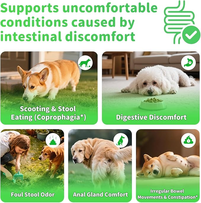 Premium Dog Digestive Enzymes and Probiotics with Pumpkin for Gut Health Support - Daily Chews for Digestion & Gas Relief - Chicken Flavor-90 Count