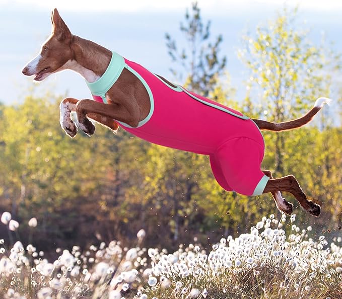 ROZKITCH Dog Surgery Leg Sleeve Rear Legs, Male Female Pet Prevent Licking Wound Elbow Knee Protector, Dog Recovery Suit Cone Collar Alternative Pants Shirt for Wound Heal Wrap Rosered M