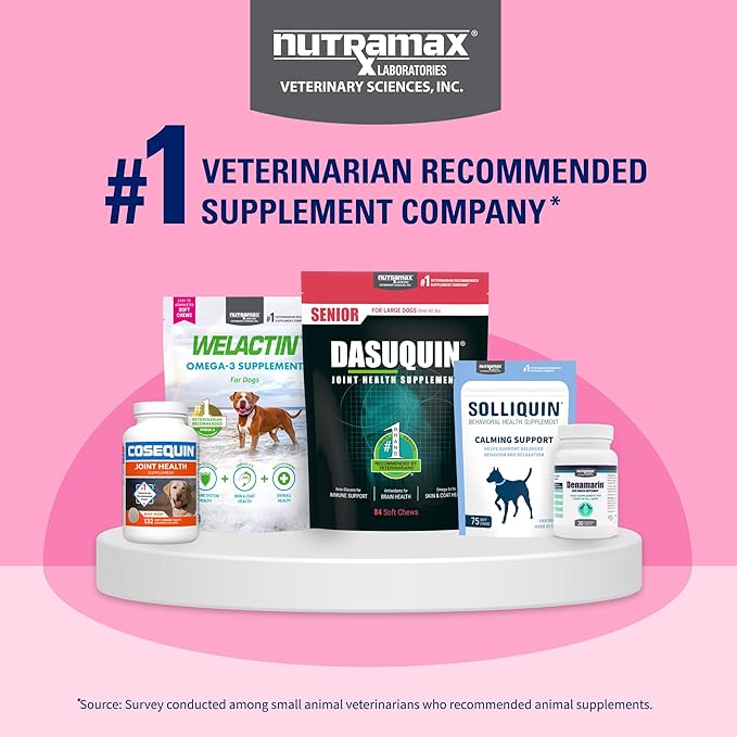 Nutramax Laboratories 30 Count Proviable Health Supplement for Cats and Dogs (PROVDC30)