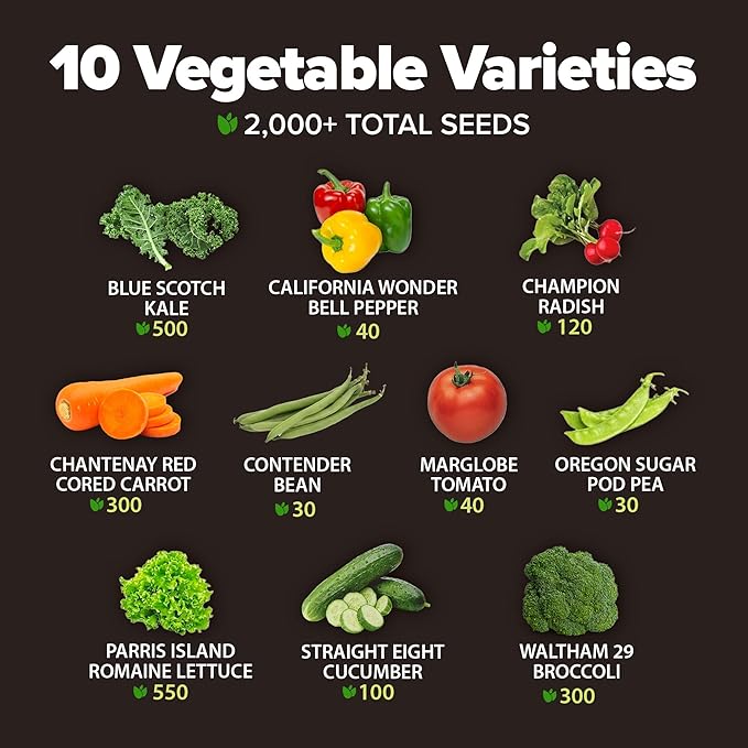 HOME GROWN 𝗨𝗦𝗔 𝗣𝗥𝗘𝗠𝗜𝗨𝗠 10 Variety Vegetable 2,000+ 𝗡𝗢𝗡-𝗚𝗠𝗢 Seeds (Kale Lettuce Tomato Broccoli Beans Peas Bell Peppers Carrot Cucumber Radish) – Indoor & Outdoor Garden Survival Seeds