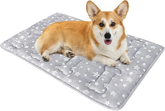Dog Crate Mat (30" X 19"), Soft Dog Bed Mat with Cute Prints, Personalized Crate Pad, Anti-Slip Bottom, Machine Washable Kennel Pad