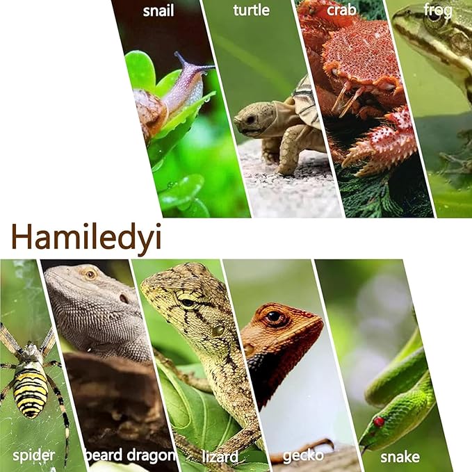 Hamiledyi Reptile Driftwood Decoration Natural Coral Driftwood Branches for Aquarium Reptiles Trunk Log Ornament Bendable Jungle Climbing Vines Decor for Bearded Dragon Lizad Amphibian Fish Tank