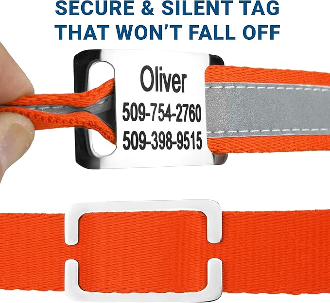 GoTags Reflective Personalized Dog Collar with Nameplate, Adjustable Dog Collar with Custom Engraved Steel Slide On Pet ID Tag, Silent, No Noise Dog Tag for Large Medium or Small (Orange, Small)
