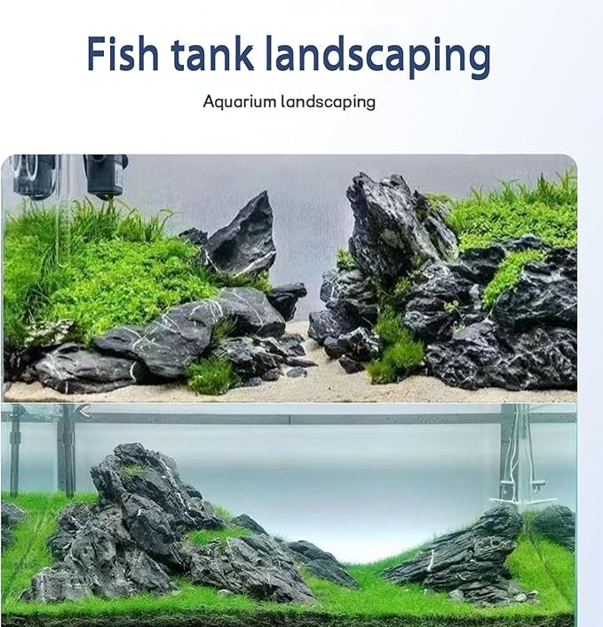 Seiryu Stone Natural Stone Rocks Fish Tank Decor Rocks for Aquariums Landscaping Model Tank Decoration Aquarium Miniature -20Lb (2-8 inch)