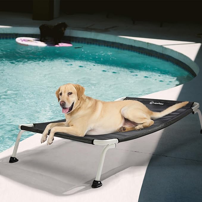 Veehoo Elevated Dog Bed for Outdoor, Cooling Waterproof Raised Dog Cots Beds for Large Dogs, Curved Off Ground Pet Hammock Cot Lifted for Outside, up to 85lbs, White Legs, Black 42"