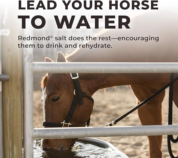 Daily Red Complete Wellness, Fortified Mineral Mix Supplement for Horses, 25lb Bucket