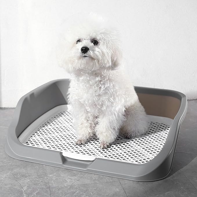 Fabater Dog Potty Toilet Training Tray, Portable Multifunctional Mesh Puppy Training Toilet Pad Holder with Bafflel for Small Dogs Puppies (Gray)