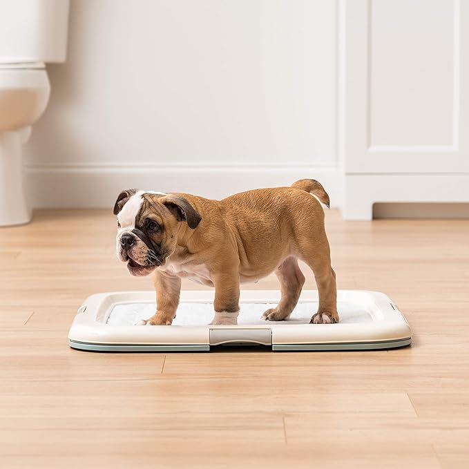 IRIS USA Pee Pad Holder - For Potty Training Regular Sized Dog & Puppy Pee Pads, Secured Latches, Non-Skid Feet, Leak Protection, Fits 22"x22" Pad or Larger, Square, Blue