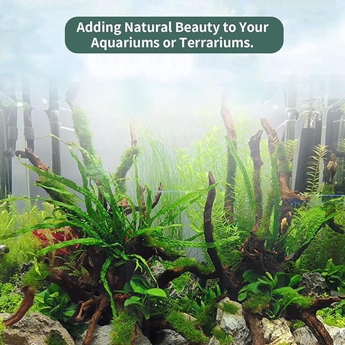 Hamiledyi Large Natural Driftwood for Aquarium 12-18 Inch Driftwood Branches Fish Tank Decoration Reptile Toy Assorted Size Reptile Habitat Decor Wood for Lizad (1 Pack)