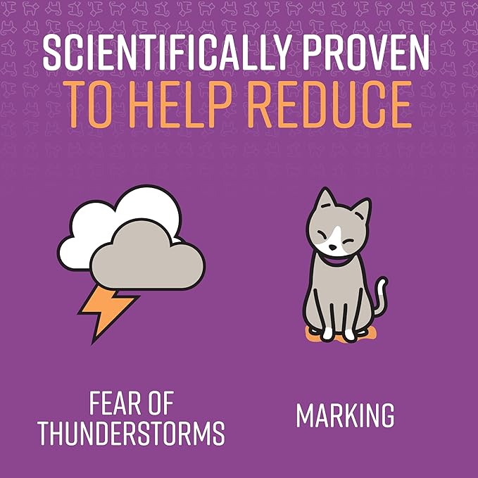 Sentry Calming Collar for Cats, Long-Lasting Pheromone Collar Helps Calm Cats for 30 Days, Reduces Stress, Anxiety, Loud Noises and Separation, 1 Count