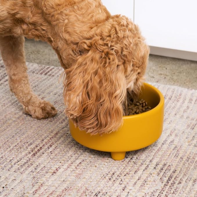 Waggo Uplift Ceramic Dog Bowl for Small Medium and Large Breeds - Heavyweight and Durable Pet Food and Water Dish Crock, Dishwasher Safe, Modern, Elevated Feeder (Mustard, Small)