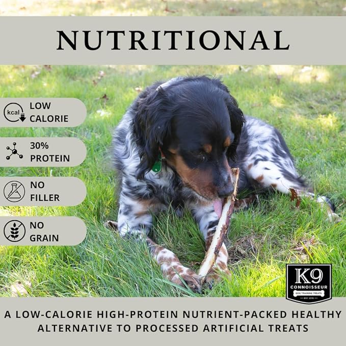 K9 Connoisseur Beef Marrow Rib Dog Bones Long Lasting 8 to 10 Inch Long - USA Made Single Ingredient for Medium Dogs Upto 50 Pounds - 8 Pack