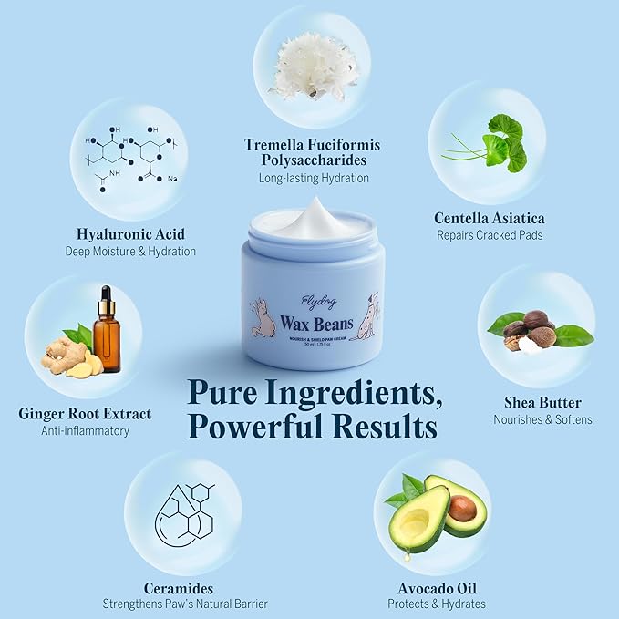Flydog Wax Beans Fragrance-Free Pet Paw & Nose Balm Cream – Moisturizing, Soothing & Repairing Dry, Cracked Pads for Dogs, Cats & Small Animals, Avocado Oil Multi-Purpose Paw & Nose Protector, 50ml