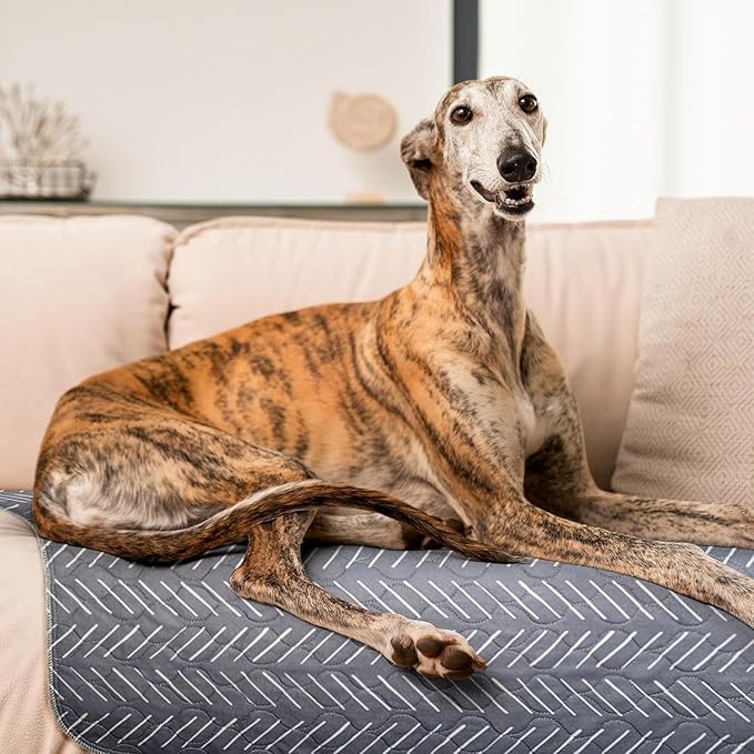 NALALAS Large Washable Pee Pads for Dogs | Reusable, Waterproof & Ultra Absorbent Puppy Pads | Dog Pee Pads, Anti-Slip, Leakproof & Quick Dry Pet Training Mat | Whelping Pad, Puppy Mat & Crate Pad