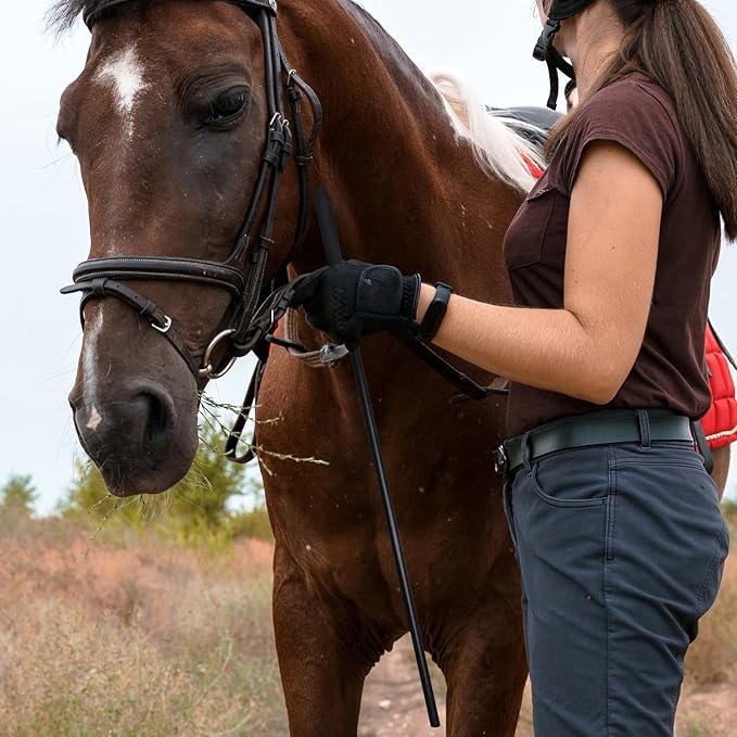 18-inch Horse Riding Crop 2-Piece Set, Black