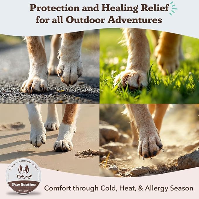 Natural Dog Company Paw Soother Balm & Wax for Dogs 4 oz Tin – Organic Moisturizing Relief for Dry, Cracked Paws, Lick - Safe–Repairs & Heals–Protects Against Extreme Weather – Coconut Oil & Vitamin E