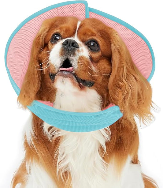 Inspack Soft Dog Cone Collar Alternative, E Cones for Small Dogs/Cat/Puppy to Stop Licking after Surgery, Comfortable All Paws Comfy Elizabethan Collars, Neuter Recovery Ecollars of Shame Alternatives