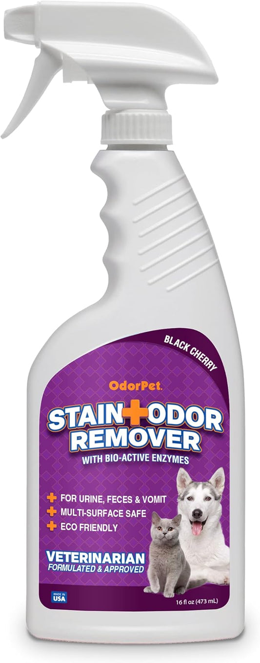 OdorPet Pet Stain Remover and Odor Eliminator - 16 Oz Ready To Use Spray, Non Staining, Professional Strength, Black Cherry Scent by Alpha Tech Pet