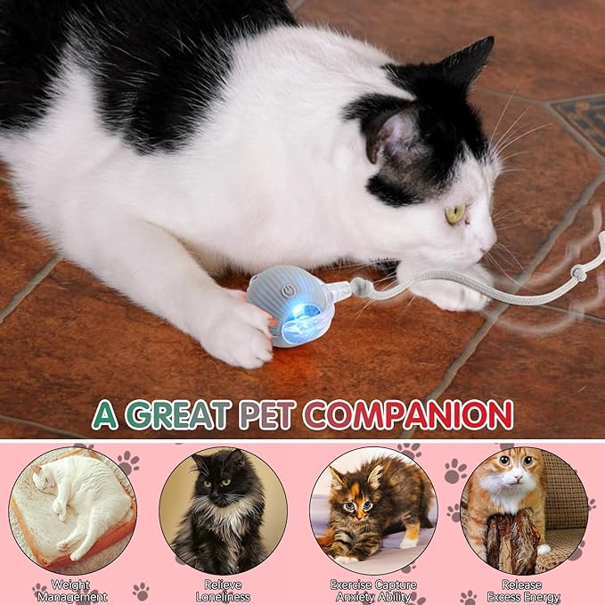 Interactive Cat Toys for Indoor Cats, 360° Smart Rolling Cats Toys, Self Rolling Interactive Cat Dog Ball, Electric Moving Peppy Pet Ball Toy, Dog Toys to Keep Them Busy (3 Pcs)