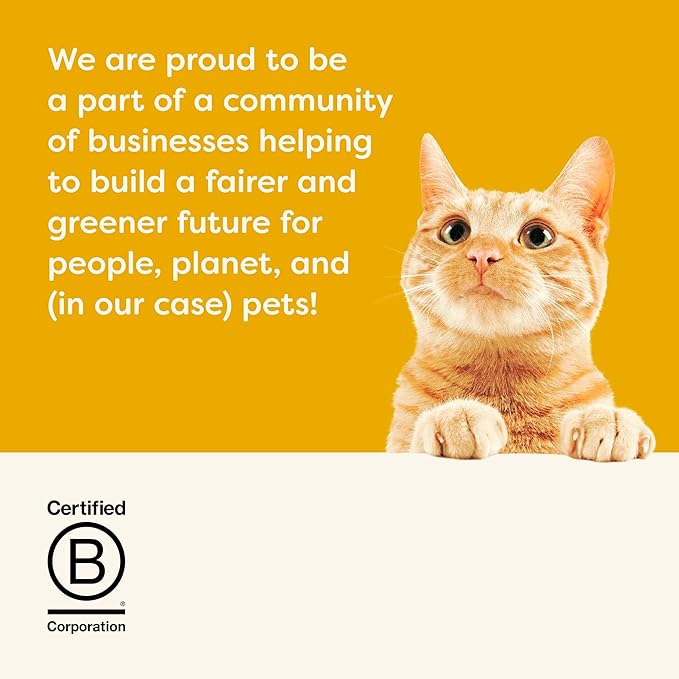 Applaws Natural Wet Canned Cat Food, Made with Limited and Natural Ingredients, Protein with No Artificial Additives, Chicken Selection Variety Pack in Broth (16 x 2.47oz Cans)