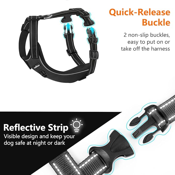 Dog Seat Belt Harness for Car, Dog Car Harness Adjustable Mesh Breathable & Dogs Seatbelt Safety Tether with Elastic Bungee for Small Medium Large Pets(Carbon Black, L)