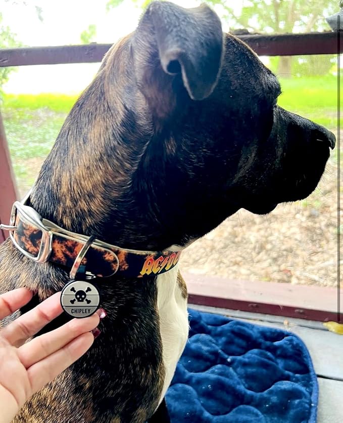 LYP Original Soundless Pet ID Tags | Custom Dog Tags Personalized for Pets | Durable Silicone Deep Engraved Dog Tag | No More Jingling | Skull & Crossbones