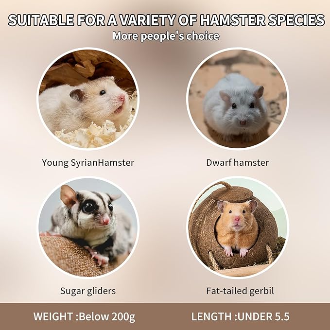 3-in-1 Bear Shaped Ceramic Hamster House - Cool House for Syrian Dwarf Hamsters, Mice, Gerbils， Small Pets, Top for Hamster Food, Removable Lid for Ice Packs, Cute Cool Hideout for Summer（Pink）