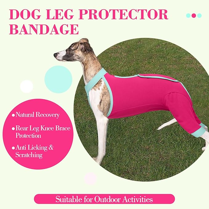 ROZKITCH Dog Surgery Leg Sleeve Rear Legs, Male Female Pet Prevent Licking Wound Elbow Knee Protector, Dog Recovery Suit Cone Collar Alternative Pants Shirt for Wound Heal Wrap Rosered L