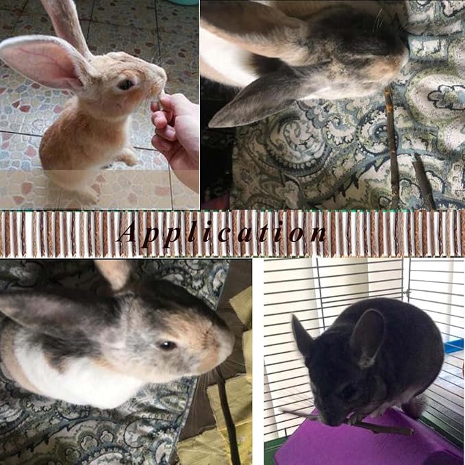 500g Apple Sticks Small Animals Molar Wood Toys for Rabbits Chinchillas Guinea Pig Hamster Gerbil Bunny and Small Animal Chew Stick Toys