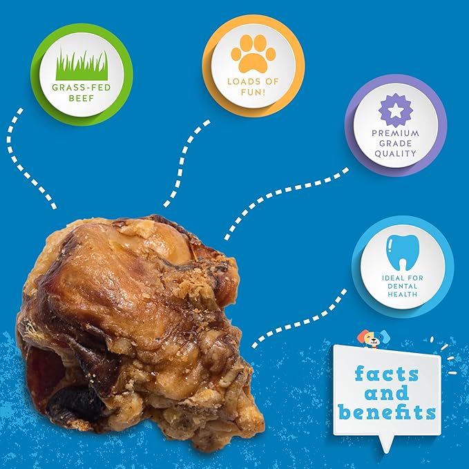 Jack&Pup Beef Bones, Knee Cap for Dogs, Long Lasting Natural Dog Bones, Beef Bone Knee Caps for Large Dogs. (10 Pack)