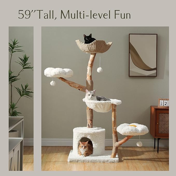 PAWZ Road Cat Tree for Indoor Cats Large Adults, 59 Inches Modern Cat Tower with Large Basket and Hammock, Natural Solid Wood, Luxury Condo & Dual Perches, Modern Cat Furniture for Big Cats, White