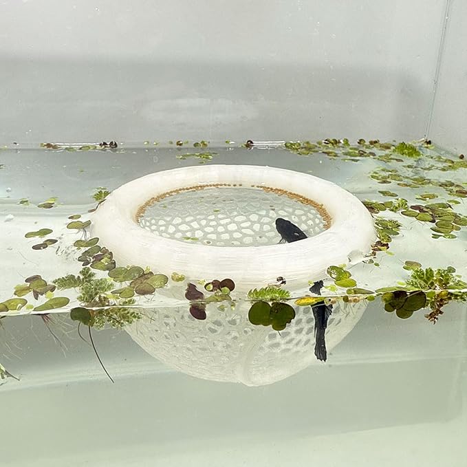 Aquarium Floating Betta Fish Skins, Betta or Shrimp Feeder, Cave and Hammock, Small Fish Feeding Rings, Aquarium Hiding Feeding Decorative Accessories (Translucent Color)