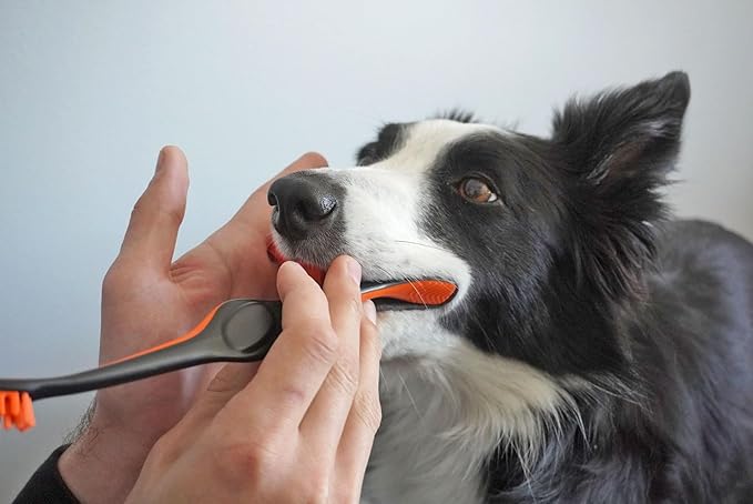 Pet Toothbrushing Assistant for Puppies' Dogs and Cats Allows You to Brush Your pet’s Teeth Without Constantly Worrying About Getting Bitten. (Blue, Small)