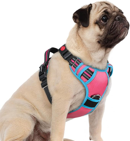 rabbitgoo Dog Harness Small Sized, No Pull Dog Vest with 3 Buckles, Adjustable Soft Padded Pet Harness with Easy Control Handle and Reflective Strips, Rose Pink & Blue, S