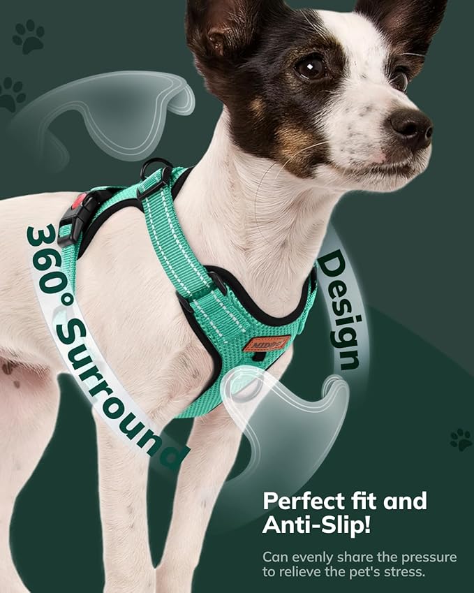 MIDOG No-Pull Dog Harness | Adjustable & Reflective Pet Harness Leash Set for Small Medium Large Dogs Walking, Training| No Choke, Front Clip, Soft Padded Vest with Easy Control Handle - Green, S