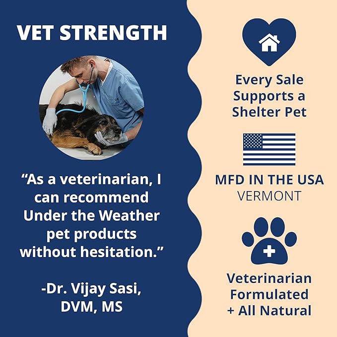 Under the Weather Pet Electrolytes Ready Cal Plus Gel for Dogs | Vet-Formulated High-Calorie Supplement for Dog & Puppy | Provides Essential Calories & Promotes Weight Gain | 3.5 Oz Tube Pack
