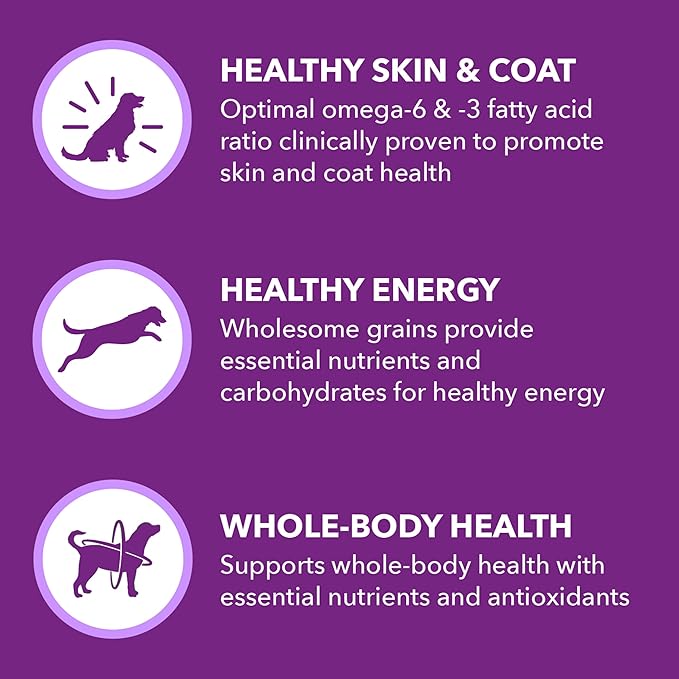 IAMS Advanced Health Skin & Coat Adult Dry Dog Food Chicken and Salmon Recipe, 27 lb. Bag