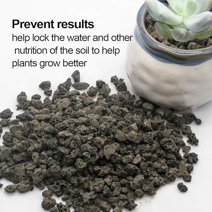 TOYPOPOR 6lb Black Lava Rock for Plants, Natural Horticultural Volcanic Grit, Cactus Succulents Bonsai Stones, Crushed Potting Gravel for Drainage Planter, Terrarium Decor, Gardening Soil Additive