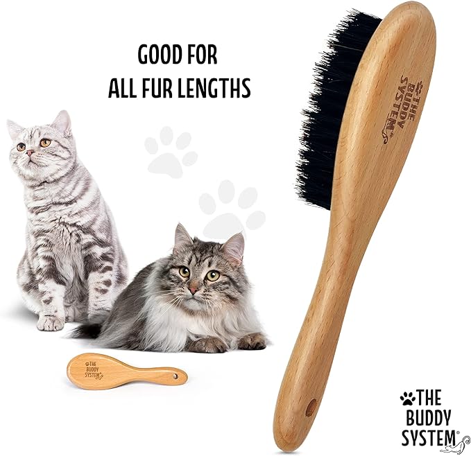 The Buddy System Cat Brush with Boar Bristle and Wooden Handle, Professional Grade Daily Grooming Hairbrush, Reduce Shedding, Soft Hair and Healthy Shine (1 Pack)