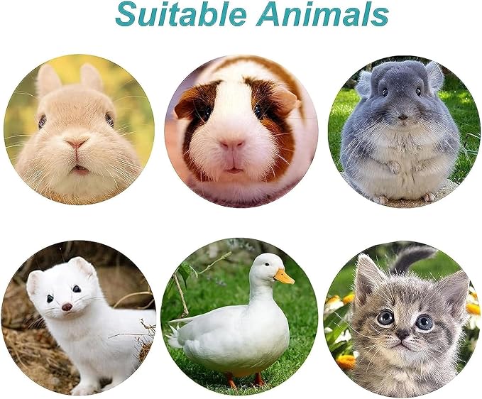 kathson 2Pcs Rabbit Water Bottle 17 OZ Bunny Hanging Water Fountain Automatic Guinea Pig Water Dispenser No Leak Drinking Feeder for Bunny Chinchilla Hamsters Cat Dog Small Animals(Blue)