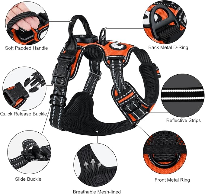 Taglory Light Up Dog Harness, Rechargeable No Pull Dog Vest with 3 Lightning Modes, Reflective Dog Harness with 2 Leash Clips & 4 Adjustable Slide Strips for Small Dogs, Orange-Orange, S