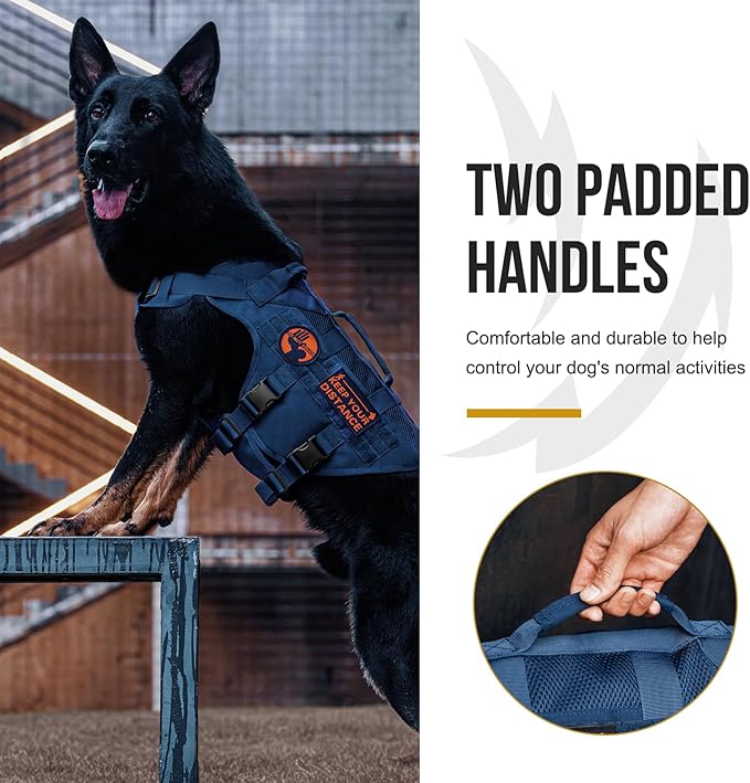 OneTigris Tactical Dog Harness for Small Dogs with Handles, Mesh Design Service Dog Vest Breathable Military Dogs Molle Vests with Handles, Harness for Walking Hiking Training (Blue, XS)