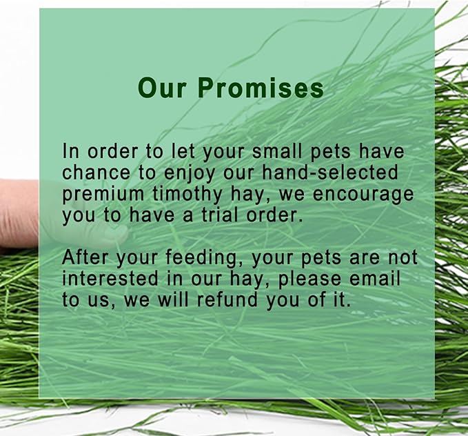 Timothy Hay 1.1LB - Dust Free Natural Green Fresh Food Hay for Rabbits Tortoise Guinea Pig Chinchilla