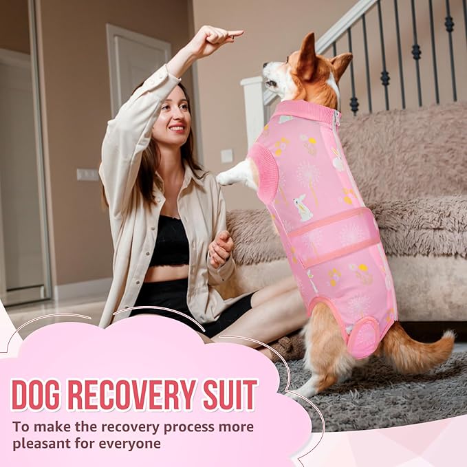 Lukovee Recovery Suit for Dogs, Zipper-On Onesie for Female Male Dog, Abdominal Wounds Cone E-Collar Alternative, Prevent Licking Spay (3XL, A-Pink)