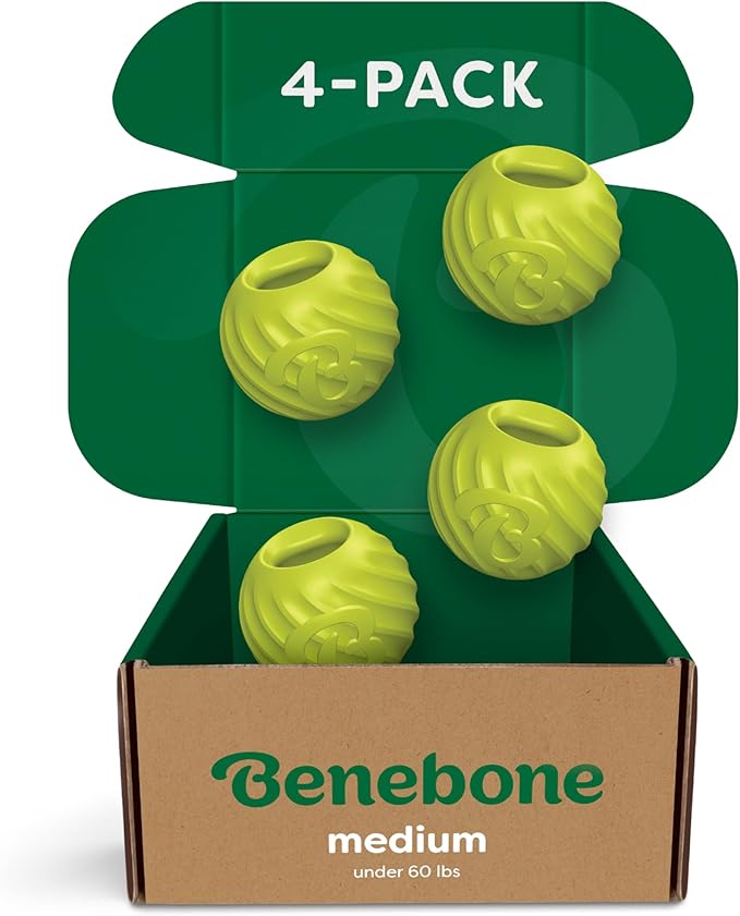 Benebone 4-Pack Rubber Ball