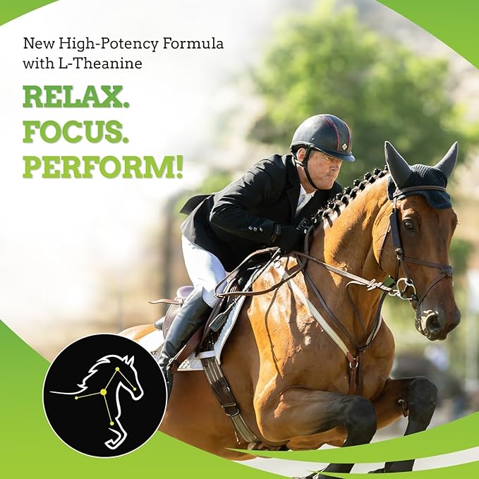 SynChill AF Calming Gel for Nervous Horses - Single Serving - Advanced Formula with L-Theanine, Increased Potency, 100% Natural Supplement, Disposition & Confidence Support for Horses - 12 Pack