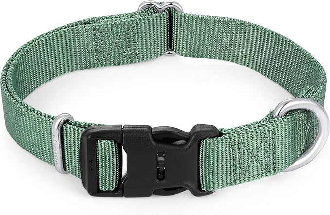 Mikivery Nylon Dog Collar with Quick Release Buckle Soft Adjustable Sturdy for Small Medium Large Dogs Emerald,L