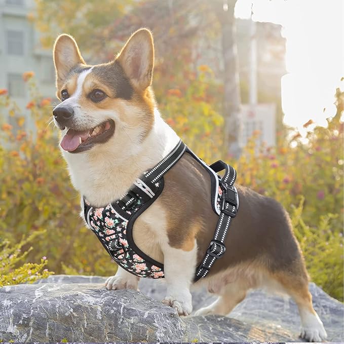 Timos Dog Harness, No-Pull Pet Harness with 2 Leash Clips, Adjustable Soft Padded Dog Vest, Reflective Outdoor Pet Oxford Vest with Easy Control Handle